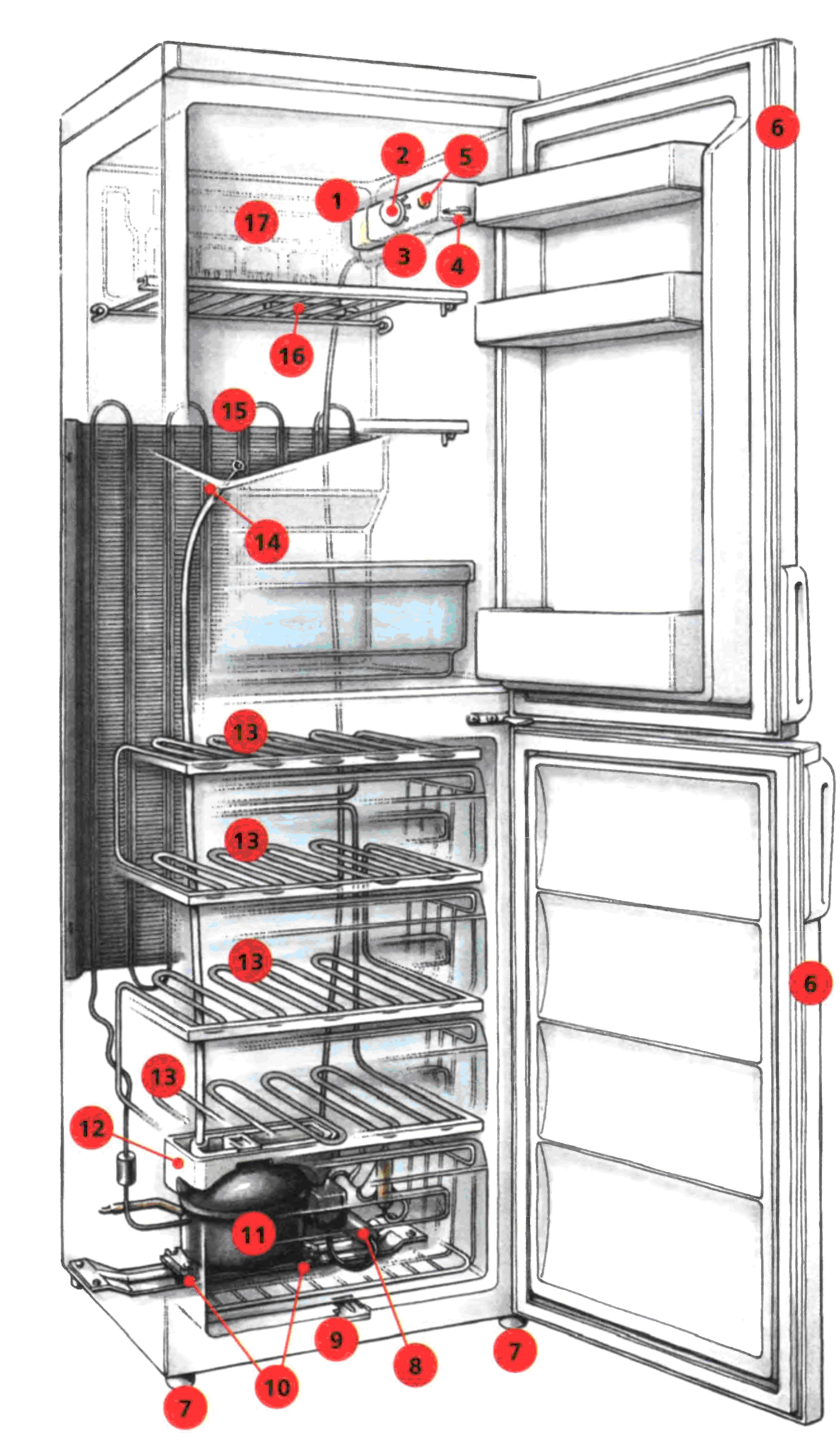 Холодильник Атлант двухкамерный строение внутри
