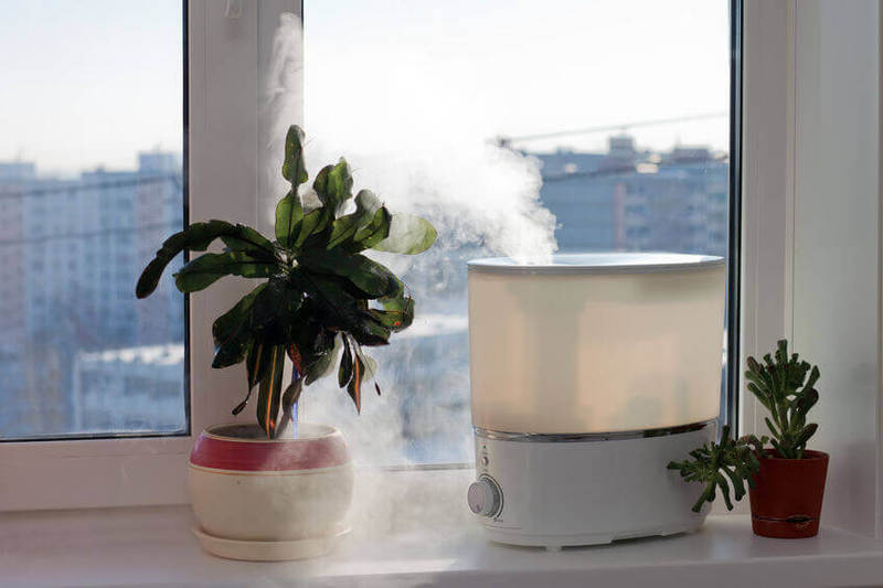 Какая должна быть влажность воздуха в квартире