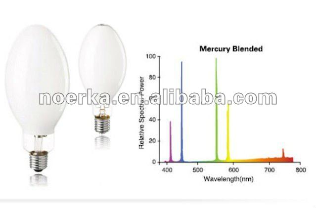 High Pressure Mercury Lamps and Blended Mercury Lamps