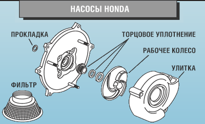 Различия в типах насосов HONDA