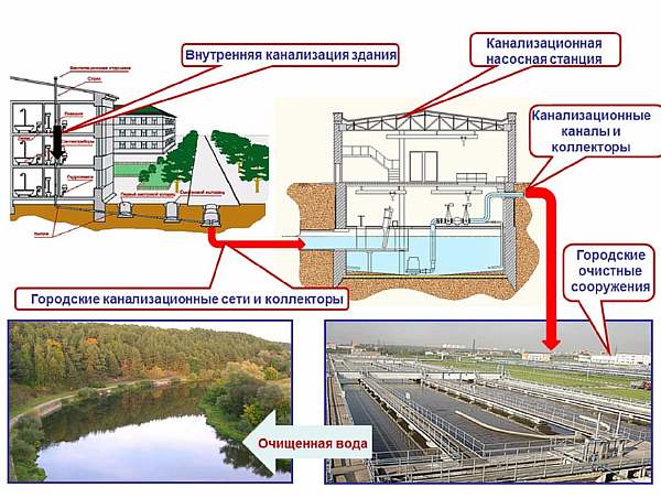 Схема устройства канализации