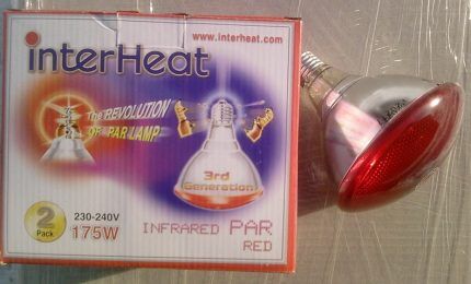 Лампа компании Osram Лампа компании InterHeat